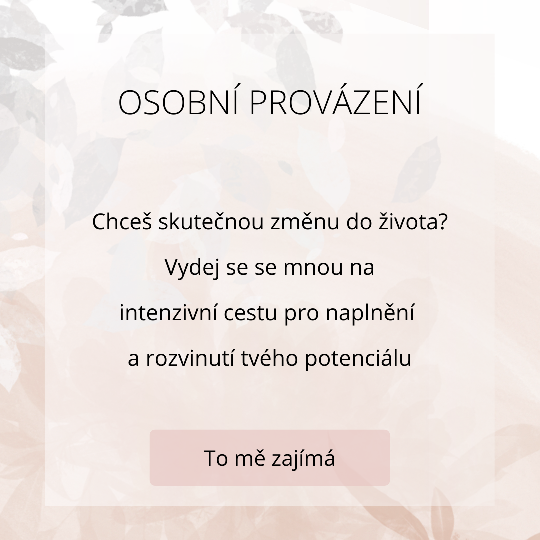 osobní provázení
